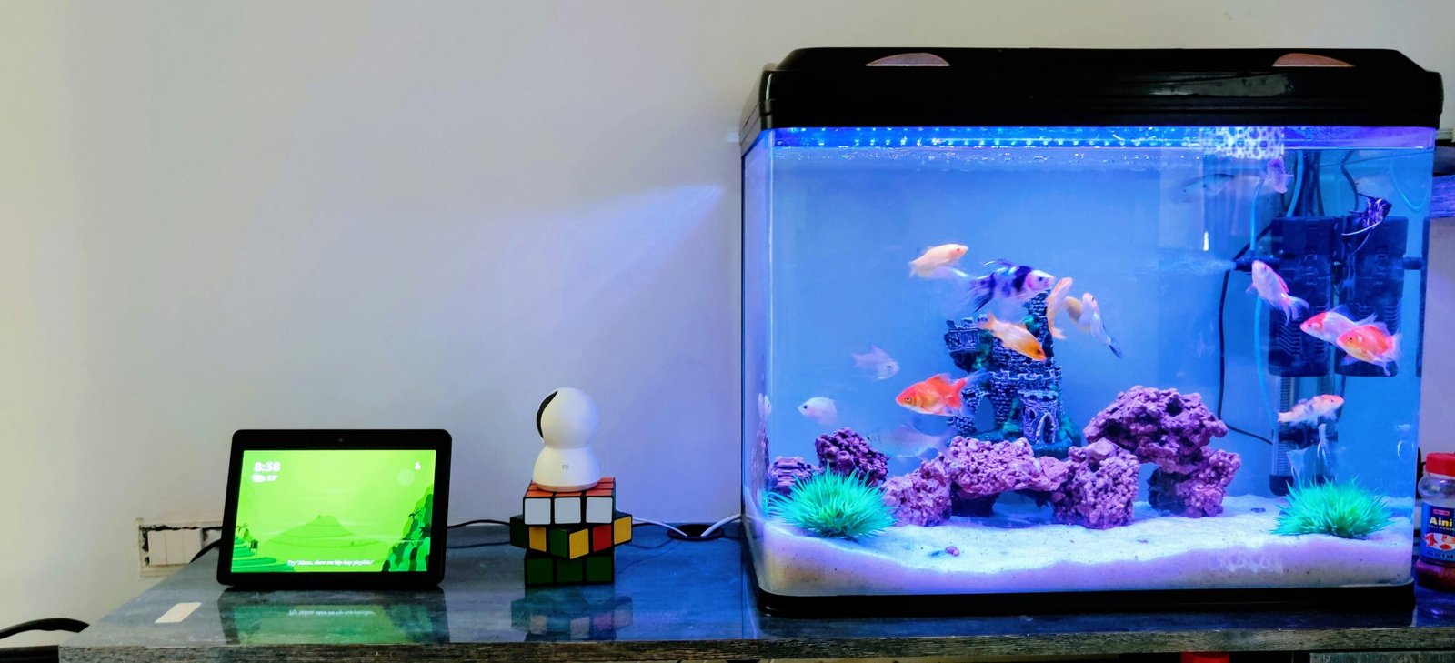 Read more about the article 🐠 Complete Aquarium Setup Guide – What You Need Before Adding Fish